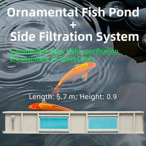 QihangRAS Laghetto <span class=keywords><strong>per</strong></span> <span class=keywords><strong>Pesci</strong></span> Koi <span class=keywords><strong>da</strong></span> <span class=keywords><strong>Giardino</strong></span> <span class=keywords><strong>per</strong></span> Uso Domestico con Sistema di Filtrazione, Attrezzatura <span class=keywords><strong>per</strong></span> Acquacoltura, Laghetto Integrato Personalizzato <span class=keywords><strong>per</strong></span> l'Osservazione dei <span class=keywords><strong>Pesci</strong></span> - Product Image 2