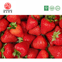 IQF Diepvries Aardbeien Hele 10kg Per Doos Bulkverpakking Opslag Onder -18 Graden 24 Maanden Houdbaarheid Natuurlijk Zoet Fruit