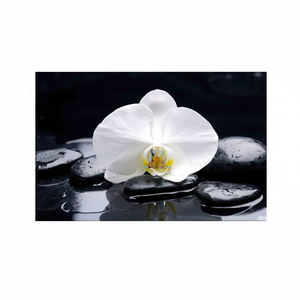 Floral Canvas Print: Elegant Spa Stones & Orchid Tempered Glass Wall Art,<b>WRAPPED</b> CANVAS - Product Image 2
