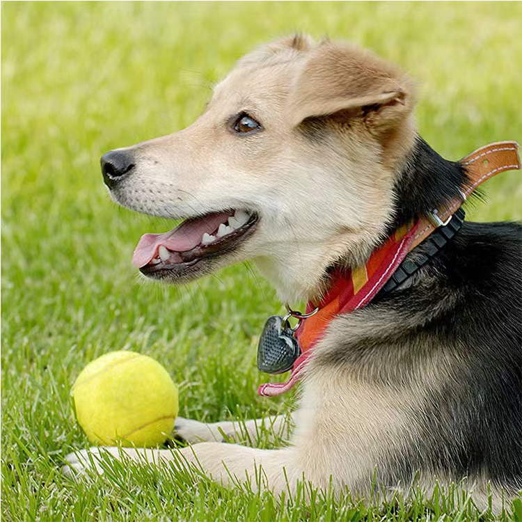 More tennis 5 pcs ball
