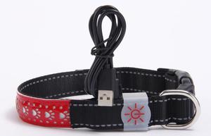 Collares luminosos de nailon para perros, impermeables, con hebilla intermitente, luz nocturna, de seguridad, Led - Product Image 3