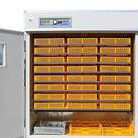 Giá Máy Ấp Trứng Gà Tự Động - Product Image 2