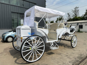 Veicolo Elettrico per Giro Turistico, Carrozza a Bassa Velocità Senza Cavalli per Trasporto Passeggeri / Carrozza a Cavalli Omologata CE - Product Image 4