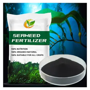 Toqi Agricultural Wholesale Fertilizer Seaweed Fertilizer Extract Liquid Organic Fertilizer