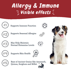 Suplemento Alimenticio Natural Personalizado OEM/ODM para Mascotas, Masticables Suaves para la Inmunidad y el Alivio de Picazón, Favorecen la Salud de la Piel y el Pelaje para Perros y Gatos - Product Image 5