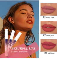 Lakerain 2.5ml Teinte à lèvres peel-off hydratante et repulpante, longue tenue 24h, waterproof, gloss liquide soyeux peel-off
