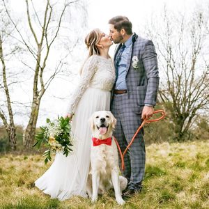 <span class=keywords><strong>Collar</strong></span> de pajaritas de Tanpopo para perros y gatos, corbatas bonitas para cachorros grandes, accesorios de aseo bonitos para cumpleaños, vacaciones, regalo de boda - Product Image 6