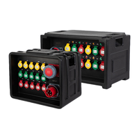 Caja de Distribución de Energía de Audio para Escenario, Sistema de Subestación de Control de Audio en Flight Case, 12 Canales, 24 Vías, OEM Personalizado