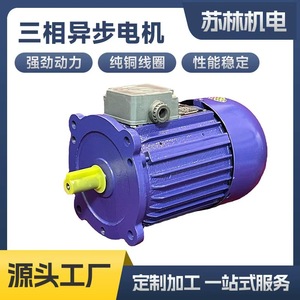 Motor trifásico Dingyi YS8024 de 80 mm con montaje de brida, totalmente encapsulado, de 750 W, con eje largo, para equipos mecánicos. - Product Image 5