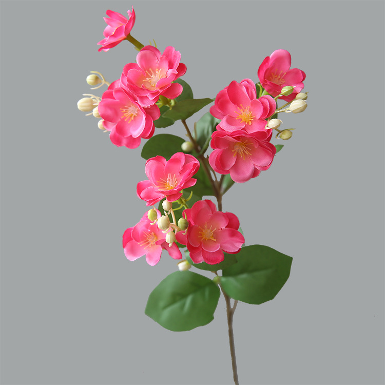 Fushia