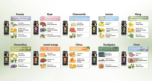 Aceites Esenciales Naturales que Ofrecen una Fragancia Duradera, Aromas y Tamaños Personalizables Disponibles en Sets <span class=keywords><strong>de</strong></span> Regalo - Product Image 3