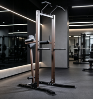 Tour de musculation multifonctionnelle pour tractions et dips, équipement de fitness pour usage domestique et commercial, rack d'entraînement de force pour entraînement complet du corps