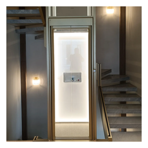 Mới đến chất lượng tuyệt vời hành khách nhỏ thang máy thang máy hành khách nhà thang máy để bán - Product Image 6