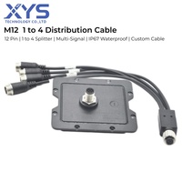 Câble répartiteur M12 12 broches 1 vers 4, faisceau de distribution de signal multi-ports pour l'automatisation industrielle