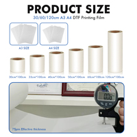 Rouleau de film de transfert DTF PET mat double face 60CM pour pelage à chaud et à froid sur vêtements, avec format A3 A4 pour imprimante