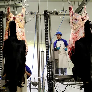 Kosher Koe Schapen Slaughterhouse Met Butcher Abattoir Machine