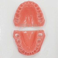 Modèle de dent standard pour l'éducation dentaire, avec gencive souple en silicone, typodont à mâchoire souple pour la pratique dentaire