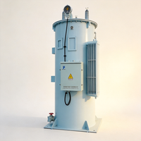 Ligne de distribution d'énergie électrique 11kV 22kV 33kV 50Hz 30kVA~660kVA AVR Régulateur de tension automatique monophasé