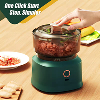 Offre Spéciale Portable et USB gingembre ail légumes hachoir électrique Mini mélangeur mélangeur bébé complément alimentaire Machine