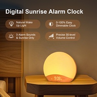 Machine à bruit blanc multifonctionnelle HiFiD avec lumière LED nocturne, machine à sommeil, réveil lumineux, réveil au lever du soleil, bois