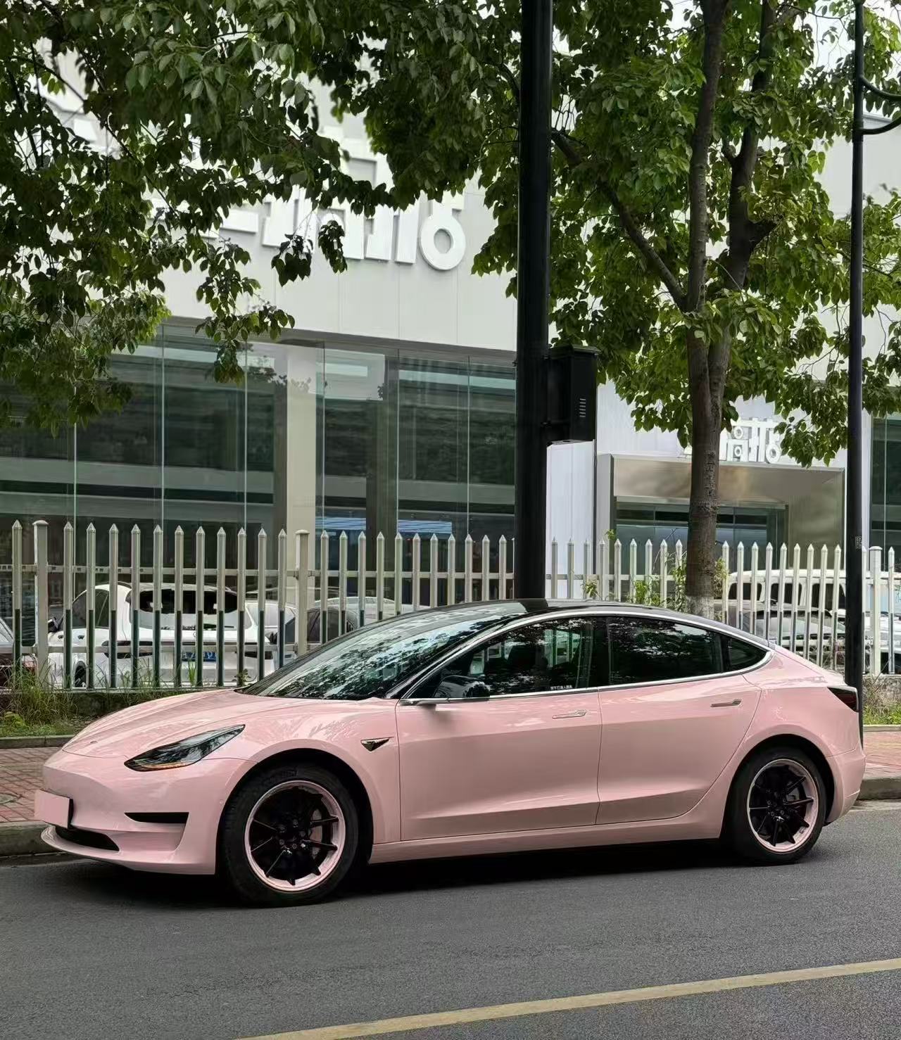 Shell Pink