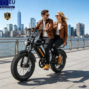 จักรยานไฟฟ้า EU Best Price รุ่น Rear Seat EBike Velo สำหรับในเมือง กำลังไฟ 250 วัตต์ จักรยานเสือภูเขาไฟฟ้า ขนาด 20 นิ้ว รุ่น Smart FatBike - Product Image 1