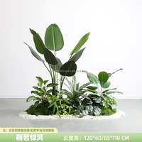 Plantes et fleurs artificielles plantes artificielles de haute qualité pour la décoration intérieure plante d'intérieur artificielle