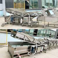Olijf Wash Veggiesgranular Veg Kleine Draagbare Groente Clean Line Equipment Machine Voor Fruit Met Blad