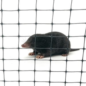 Filet <span class=keywords><strong>anti</strong></span>-taupes en plastique PP noir, maille plastique extrudée pour <span class=keywords><strong>gazon</strong></span>, <span class=keywords><strong>anti</strong></span>-moisissure - Product Image 1