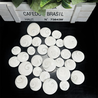 Cristal naturel Wafer Sun Shell pierres de guérison Sun Shell Wafer ornements pour la décoration de la maison