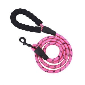 Échantillon gratuit : laisse pour chien robuste de 5 pieds avec poignée rembourrée confortable et fils hautement réfléchissants pour chiens de petite, moyenne et grande taille - Product Image 1