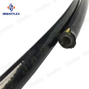 Tuyau <span class=keywords><strong>flexible</strong></span> en thermoplastique <span class=keywords><strong>haute</strong></span> <span class=keywords><strong>pression</strong></span> CO2 N2 Chine <span class=keywords><strong>300</strong></span> bar - Product Image 1