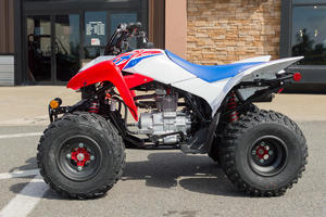 Quad ATV Premium 229cc, moteur OHV 4 temps refroidi par air, démarrage électrique, carburateur 22 mm, véhicule tout-terrain haute performance - Product Image 3