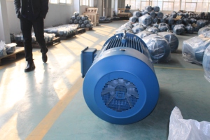 Moteurs électriques à induction triphasés CA série YE3 IE3 380V 415V 440V 460V 220V 2800 tr/min 15 kW 20 CV pour convoyeurs - Product Image 4
