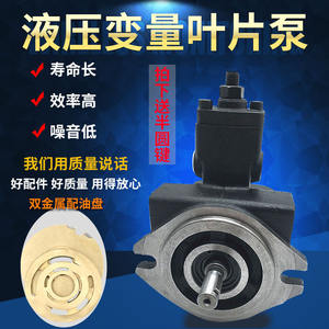 ปั๊มลูกสูบ VPVC-F12/F15/F20/F30/F40-A3/A2/A1-02A ปั๊มน้ำมันแบบใบพัดปรับได้ พร้อมแรงดันไฮดรอลิกสูง ปั๊มแรงดันไฮดรอลิก - Product Image 2