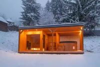 Sauna extérieur moderne en cèdre massif infrarouge 2025, bain à remous, spa, baignoire pour 2 à 5 personnes