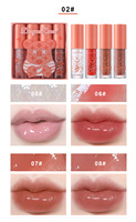Gloss à lèvres végétalien en gros, lot de 4 gloss nacrés hydratants et repulpants à fines paillettes