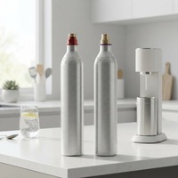 Cylindre de CO2 certifié CE et DOT, recharge de cylindre de CO2 pour eau gazeuse, cylindre de CO2 personnalisable de 0,6 l