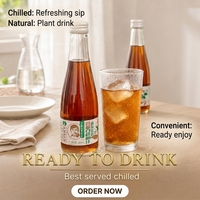 Concentré de Boisson Végétale à Base de Sève de Bouleau et d'Extrait de Racine de Kudzu 20% – Ingrédients Nettoyants et Naturels – 320ml*6 Bouteilles en Verre Transparent