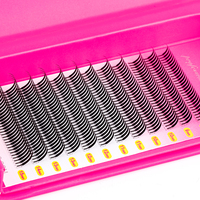 Vente en gros directe usine : Cils anime 0,07 MM C/D Solid Spike Wispy, éventails préfabriqués volume personnalisé, fournitures pour cils