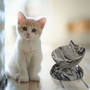 SH石材新定制标志图案白色大理石装饰高架宠物狗猫碗可持续抛光猫喂养 - Product Image 5