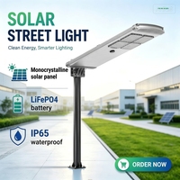Lampu Jalan Tenaga Surya Terintegrasi 50W, Bodi Aluminium, Kecerahan Tinggi, Sensor Gerak & Saklar Magnetik, IP65 untuk Pabrik & Lapangan