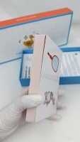 Cartes éducatives imprimées personnalisées, écologiques et colorées, découpées à la forme, durables, avec boîte cadeau pour l'apprentissage des enfants