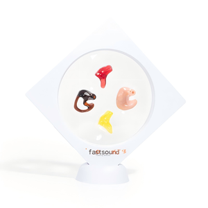 Modèle d'oreille humaine en silicone artificiel coloré de haute qualité pour l'affichage des moules d'oreille pour aides auditives - Product Image 4