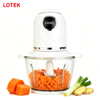 Harga Pabrik Mini Food Chopper Penggiling Daging Elektrik Grosir Peralatan Dapur Portable Pemotong Sayur dengan Plastik Bebas BPA