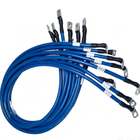 Harness Kabel Berinsulasi Biru Tugas Berat Khusus dengan Konektor Tembaga Berulir untuk Kabinet Kontrol, Peralatan Tenaga, Modul Energi Baru