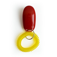 Clicker d'agilité pour chien en acier inoxydable, écologique, tendance, pas cher, plusieurs couleurs, logo personnalisé avec sangle