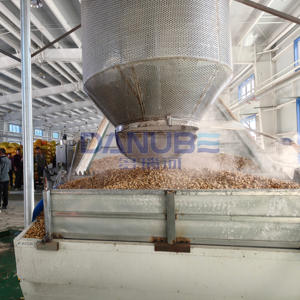 Large Scale Peanut Cleaning Steaming and Drying Production Line Mesh Belt Dryer Peanut Dehydrator Machine - Product Image 2