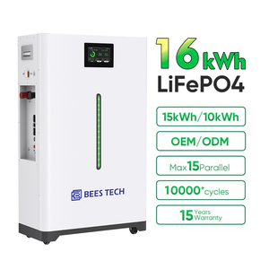 Batterie au lithium LiFePO4 BEES TECH 51,2 V 15 kWh pour stockage d'énergie solaire, 10 000 cycles BL-51,2V-15KWh - Product Image 1