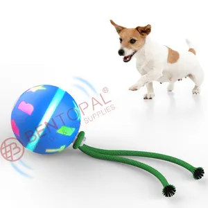 Cats and Dogs Toys Wicked Balls Automatic Rolling USB Rechargeable Smart Interactive Pet Toy Ball